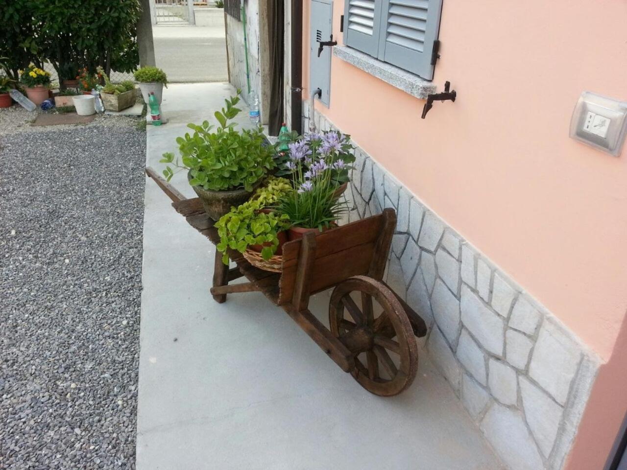 Marinella Guest House Cornale 외부 사진